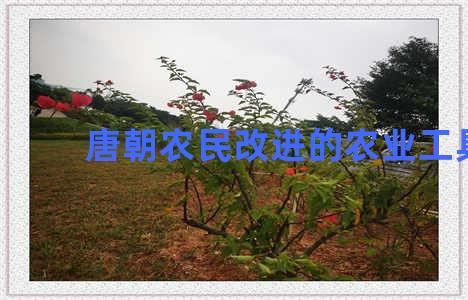 唐朝农民改进的农业工具